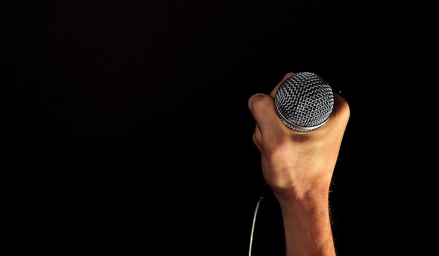 Hand holding a microphone