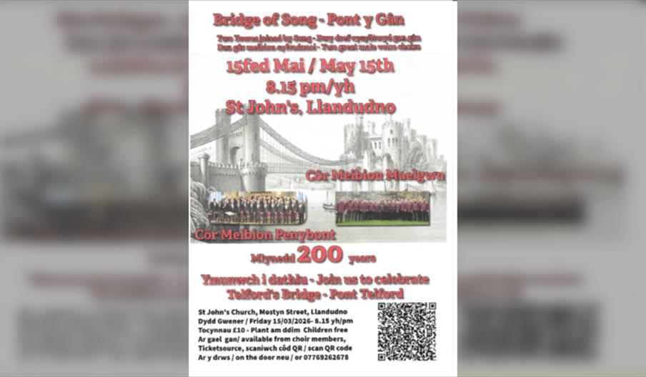 Bridge of Song - Pont y Gn