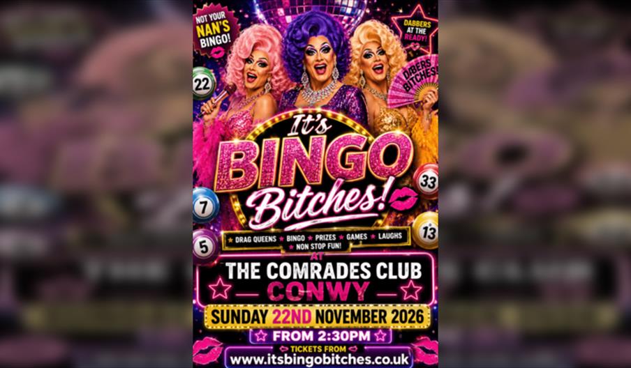 It's Bingo Bitches