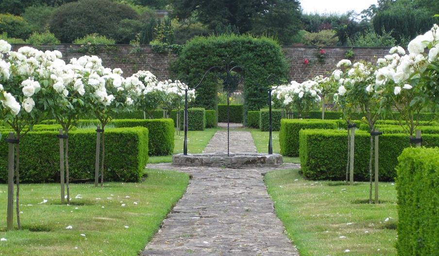 Garden Tour - 'Roses in Full Bloom' at Bodysgallen Hall & Spa