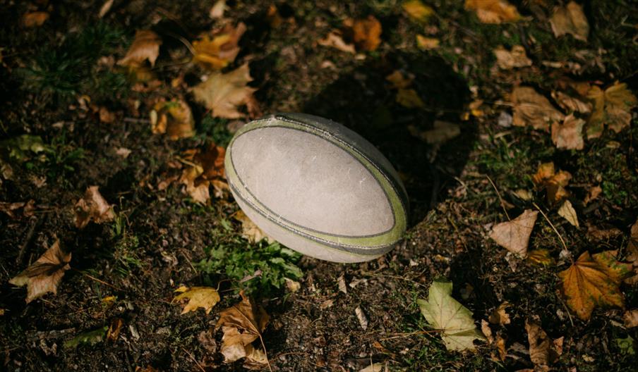 Rugby ball surrounded by fallen leaves