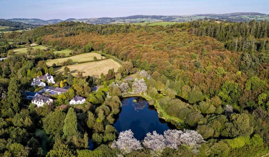 Aeriel view of the fishing lake