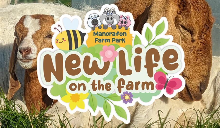 New Life on The Farm