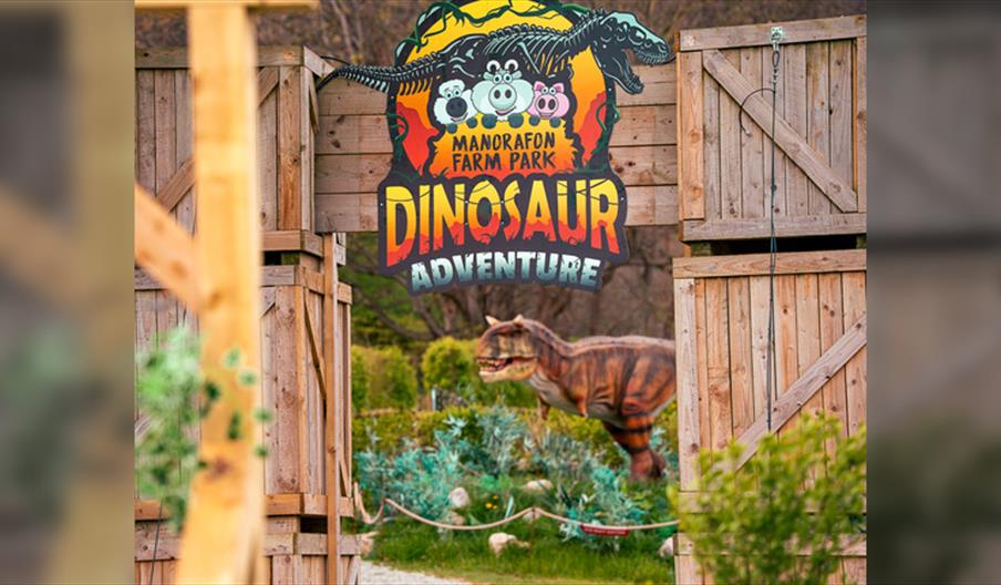 Big Machines Weekend