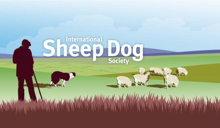 2025 Welsh National Sheepdog Trials, Trofarth