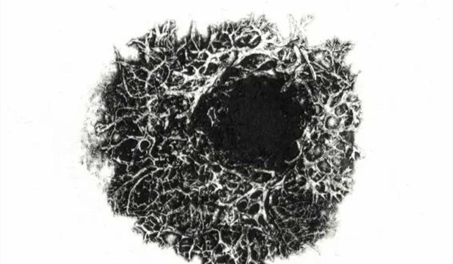 Barry Morris RCA Cynefin at Royal Cambrian Academy, Conwy