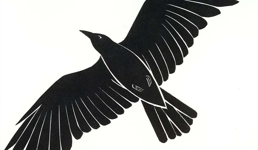 Hedfanol Contemporary Original Prints of Birds and Other Winged Creatures at Royal Cambrian Academy, Conwy