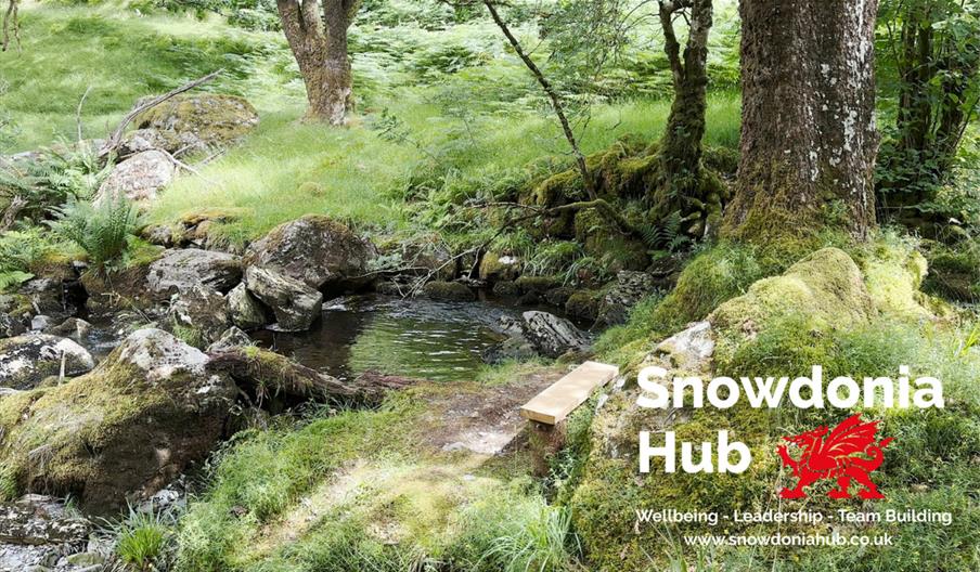 Snowdonia Hub