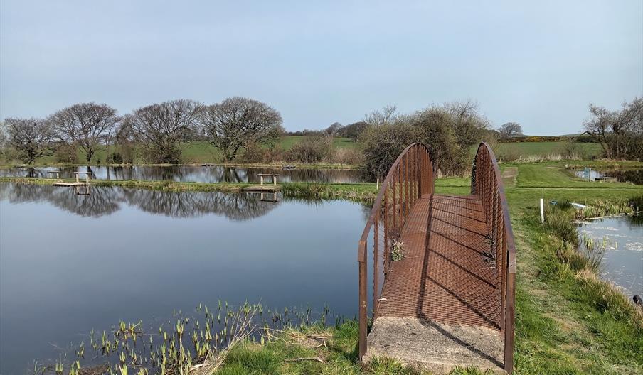 Tan y Mynydd