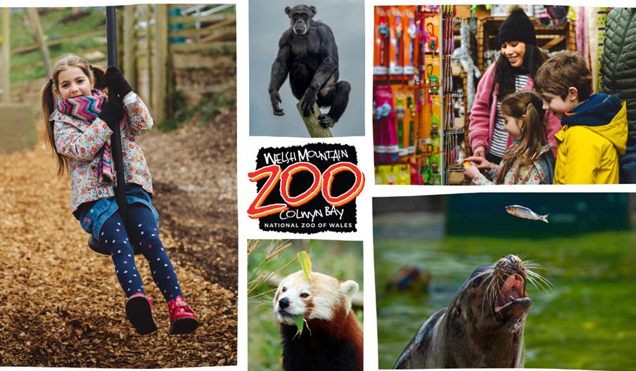 Welsh Mountain Zoo