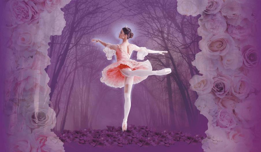 Sleeping Beauty at Venue Cymru