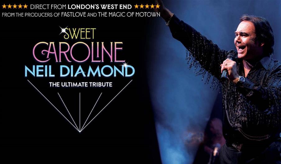 Sweet Caroline at Venue Cymru