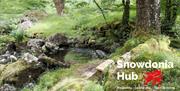 Snowdonia Hub