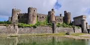 Conwy Guided Tours