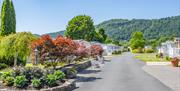 Maenan Abbey Caravan Park